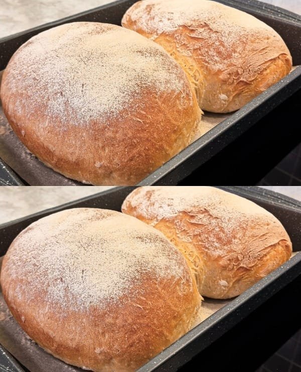 Daily Homemade Bread Recipe