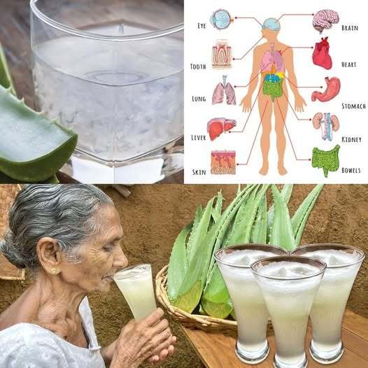 8 Health Benefits of Aloe Vera Juice
