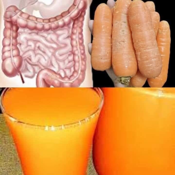 Intestines and Liver Will Be Like New! Only 3 Days – All the Dirt Comes Out