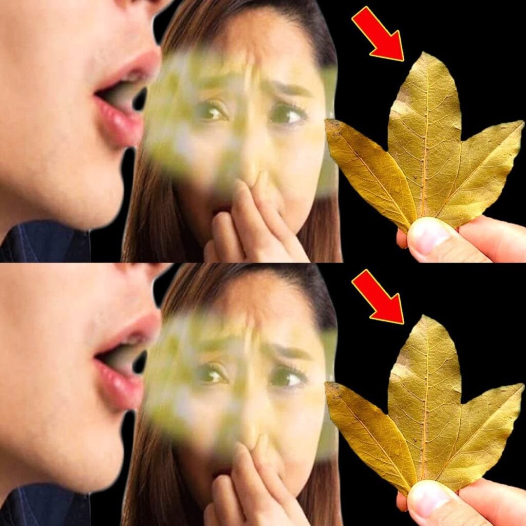 Eliminates Bad Breath Instantly! 🌿 Say Goodbye to Mouth Odor with Bay Leaves – Fresh Breath Naturally! 👄✨