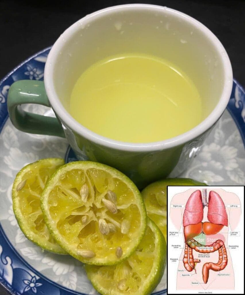 What Are the Benefits of Drinking Lemon Water? 13 Amazing Uses and Precautions